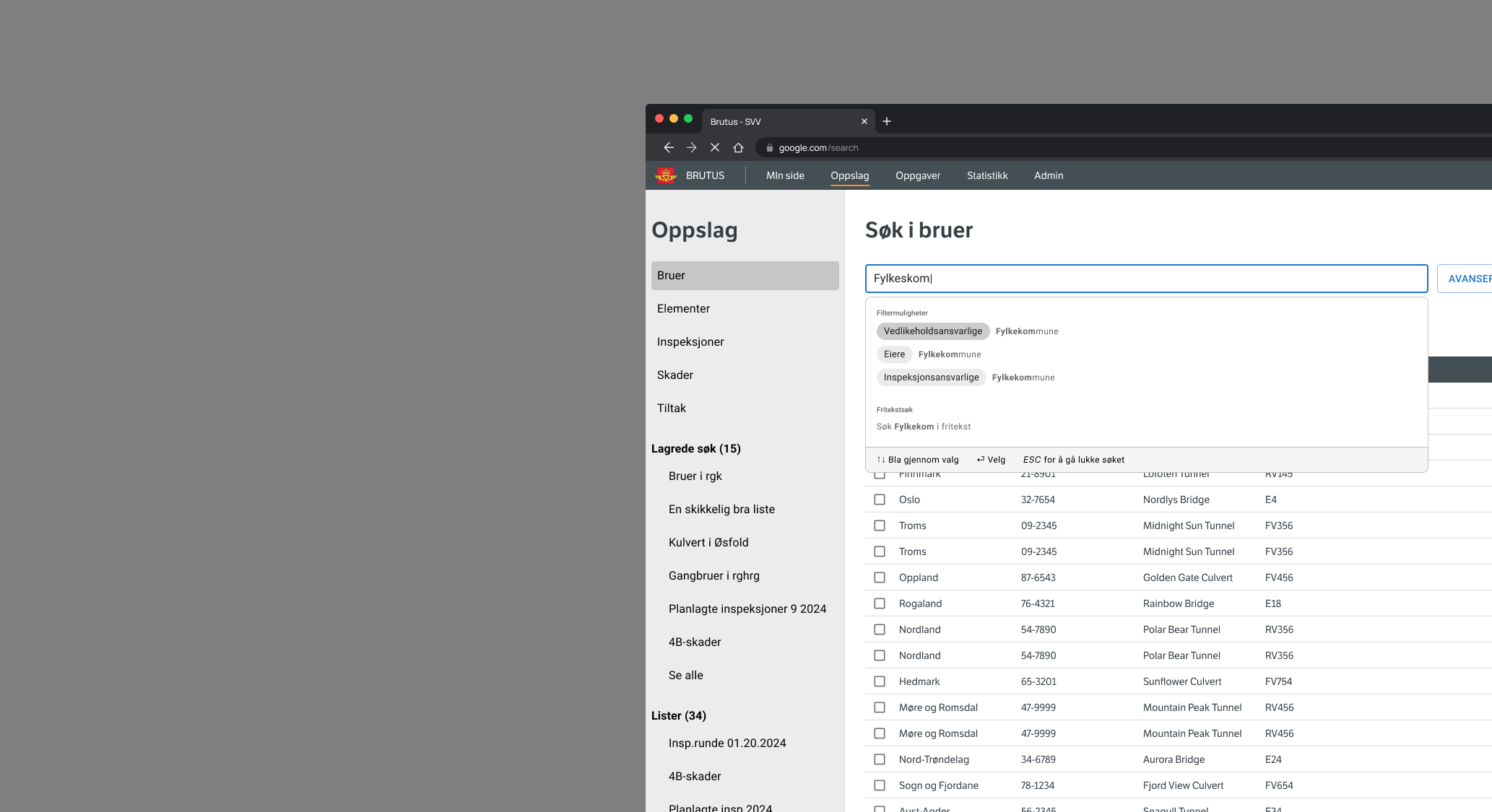 Screenshot of the Brutus bridge management system